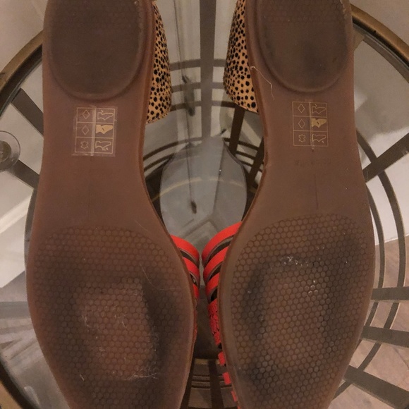 Dolce Vita Flats Leopard and Coral - Picture 5 of 5